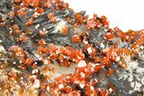 Deep Red Vanadinite Crystals on Barite - Morocco #291086-4